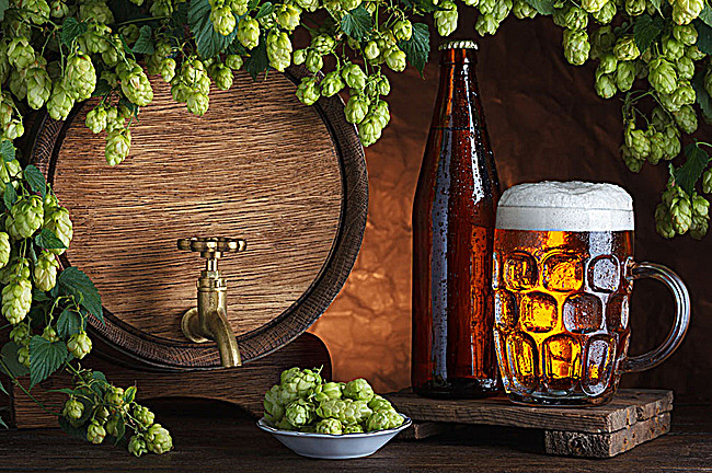 What is the hops?